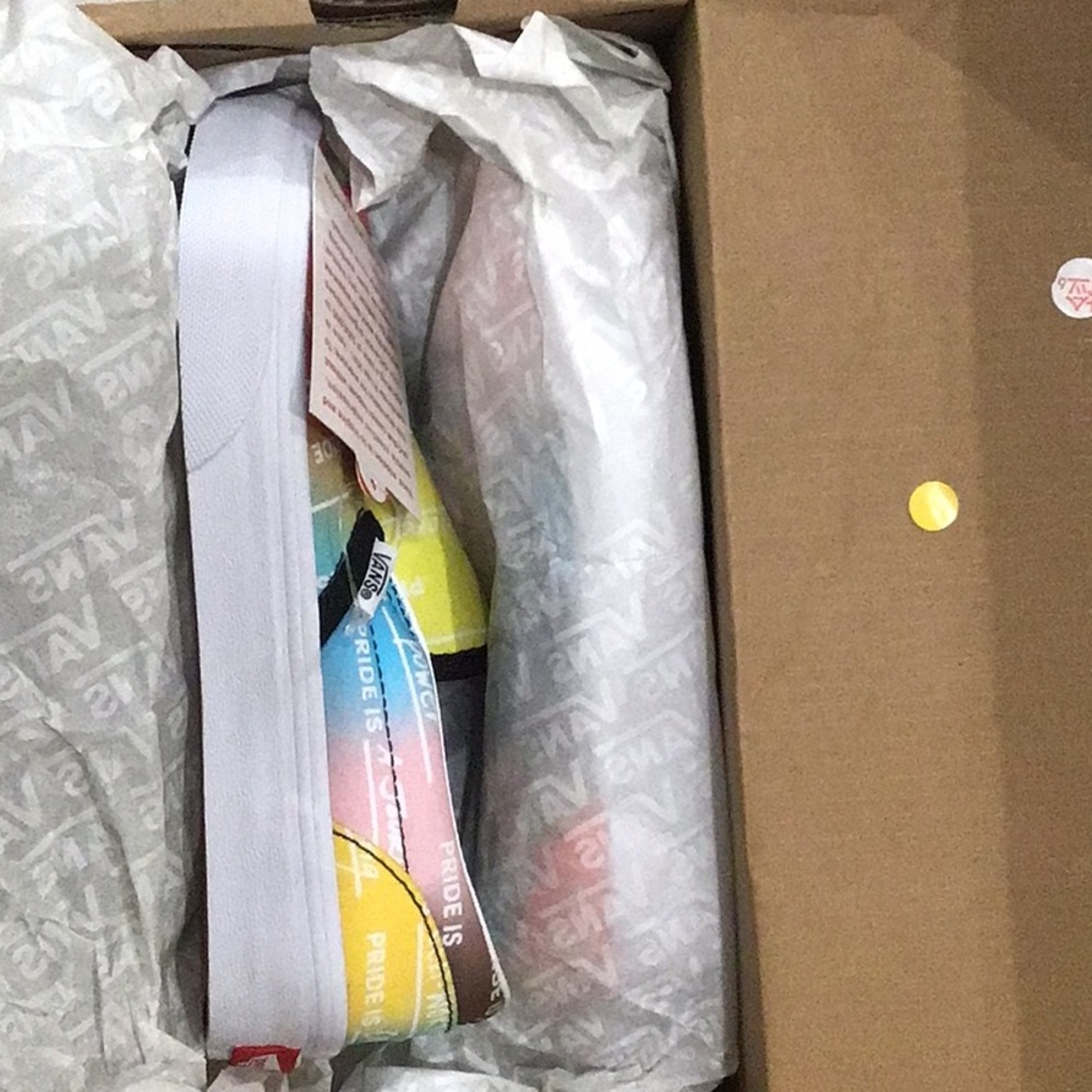 Vans classic slip ons pride edition